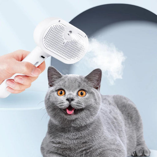 electric steam massage comb for cats - MRSLM