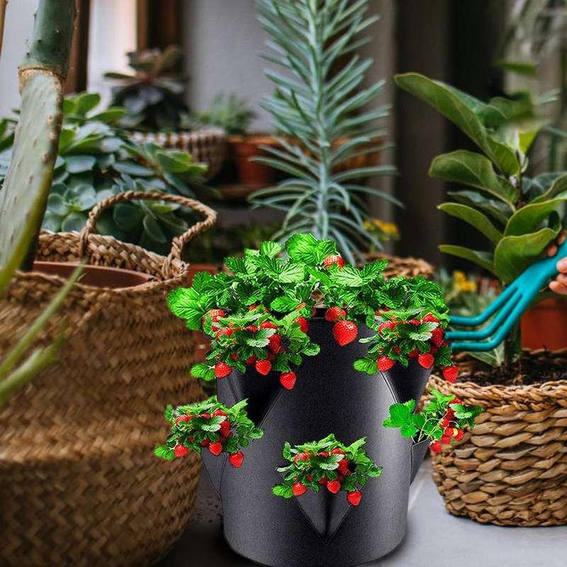 multi-pocket grow bag, view 3 - MRSLM