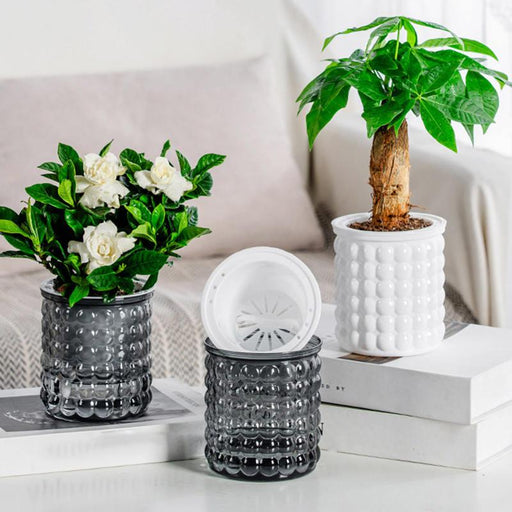 Self-watering hydroponic succulent planter - MRSLM