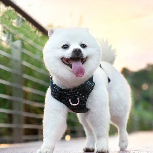 adjustable led safety harness for pets - MRSLM