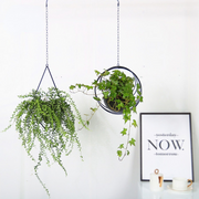 iron hanging flower pot, view 6 - MRSLM