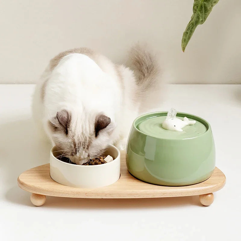 ceramic cat water fountain, view 5 - MRSLM