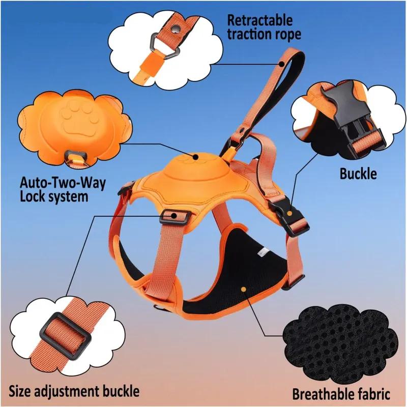 dog harness and retractable leash set, view 6 - MRSLM