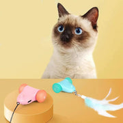 Interactive light-up cat teaser toy - MRSLM