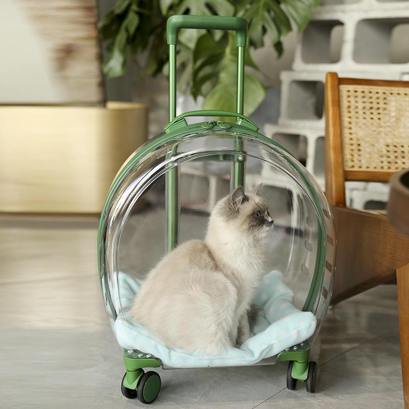 transparent pet trolley backpack - MRSLM