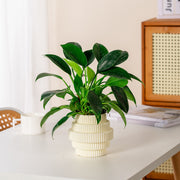 Self-watering hydroponic plant pot, view 6 - MRSLM