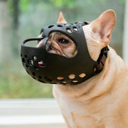 Short snout dog muzzle, view 5 - MRSLM