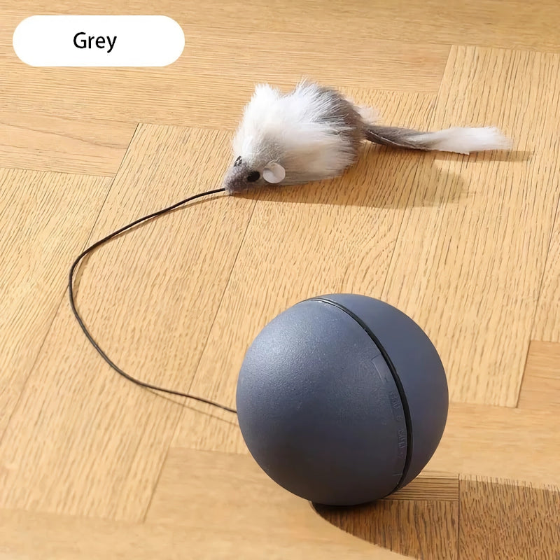 automatic cat toy set, view 8 - MRSLM