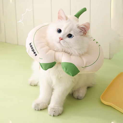 fruit recovery collar for cats and dogs - MRSLM
