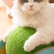 wooden sisal cat scratcher wheel with catch ball, view 5 - MRSLM