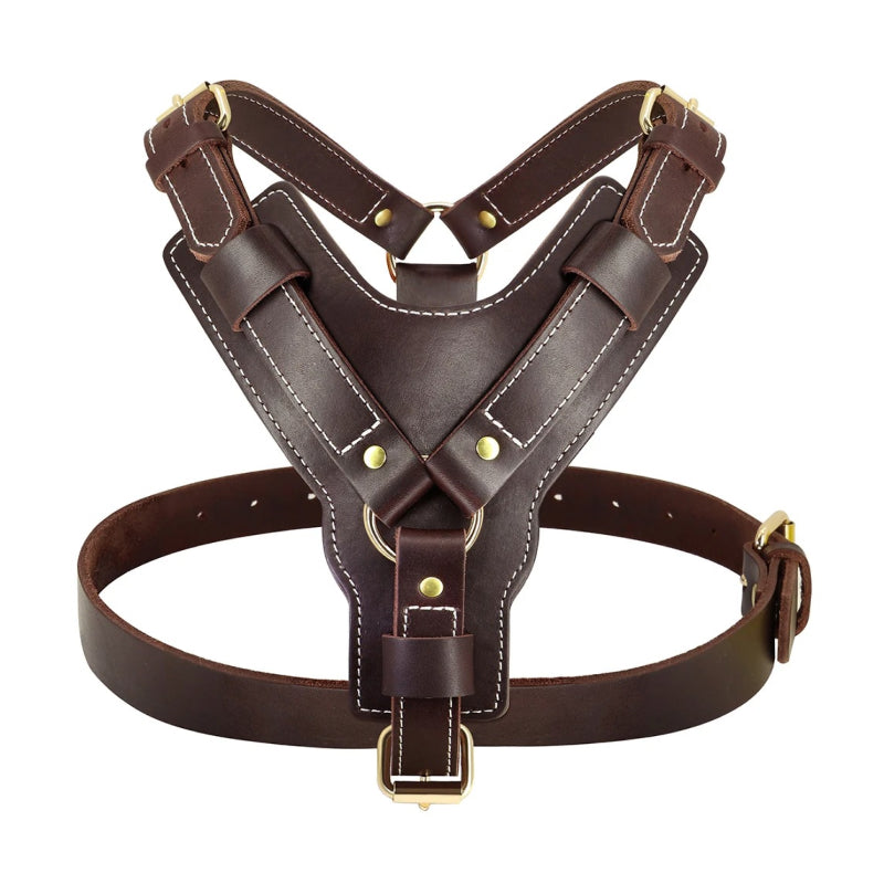genuine leather dog harness, view 2 - MRSLM