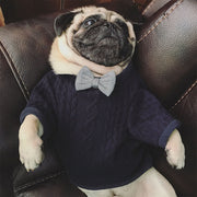 Fashion dog coat with bow tie, view 3 - MRSLM
