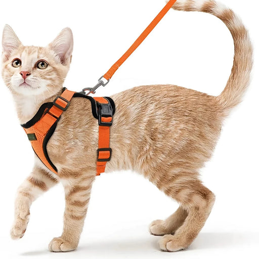 cat harness and leash - MRSLM