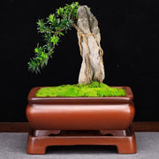 rectangular ceramic flower pot, view 10 - MRSLM