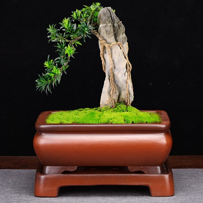rectangular ceramic flower pot, view 10 - MRSLM