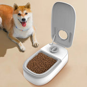 automatic pet feeder, view 6 - MRSLM