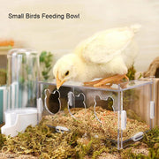 acrylic bird feeder with cuttlebone holder, view 4 - MRSLM