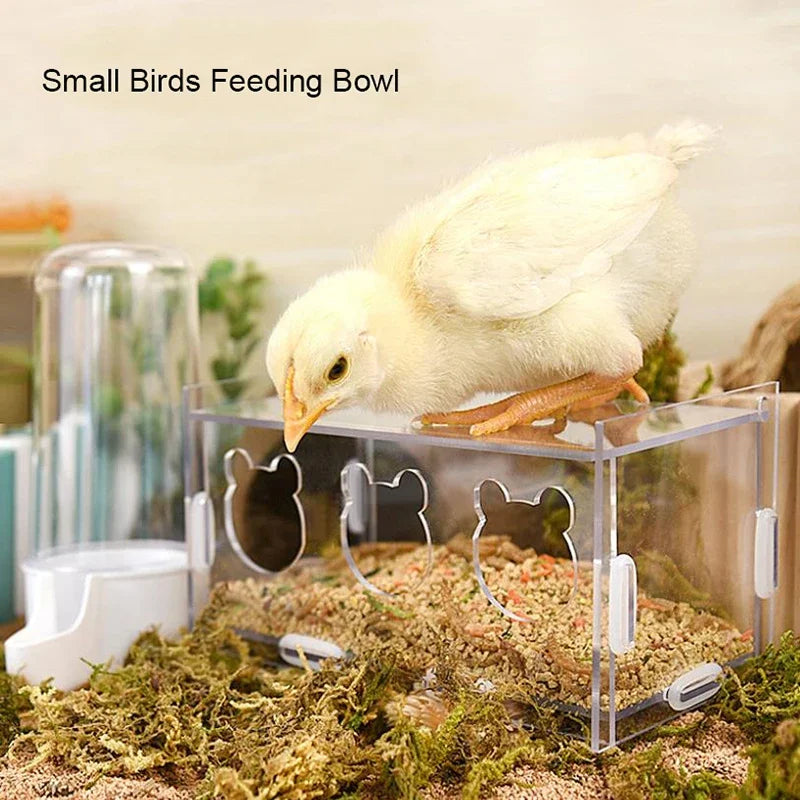 acrylic bird feeder with cuttlebone holder, view 4 - MRSLM