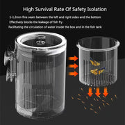 fish breeding isolation box, view 6 - MRSLM