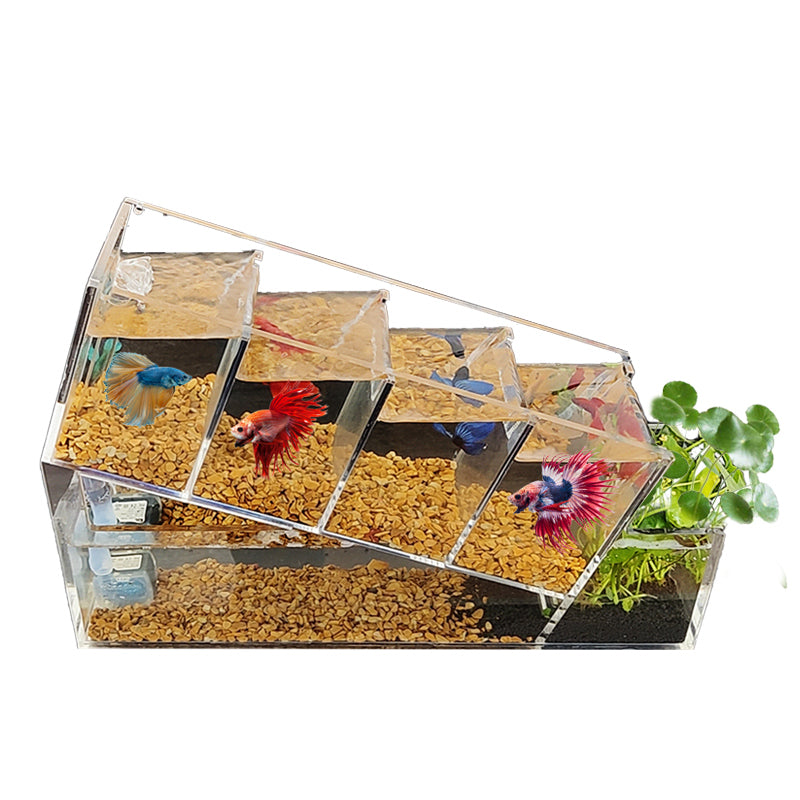 acrylic betta fish tank, view 6 - MRSLM