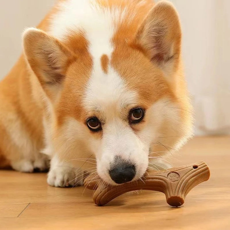 bite-resistant dog chew toy - MRSLM