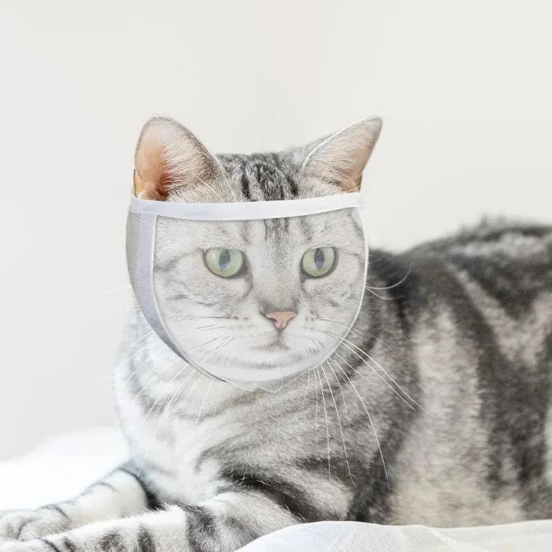 transparent cat muzzle - MRSLM