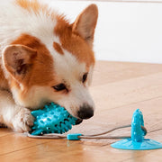 durable dog chew toy with suction cup, view 10 - MRSLM