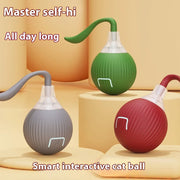 self-rolling cat ball toy, view 8 - MRSLM