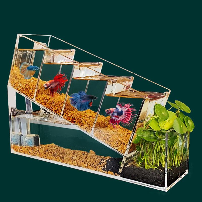 acrylic betta fish tank - MRSLM