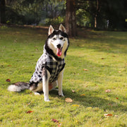 dog winter coat with detachable hood, view 7 - MRSLM