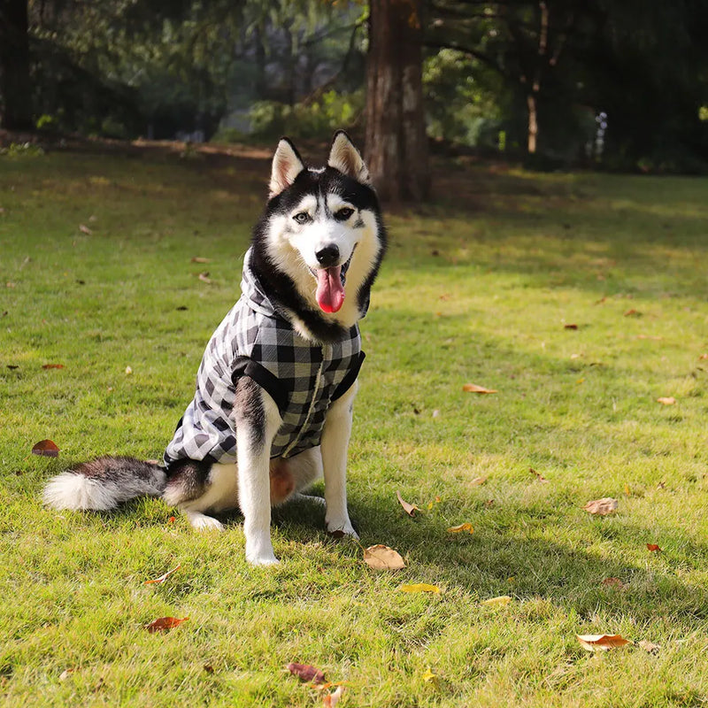 dog winter coat with detachable hood, view 7 - MRSLM