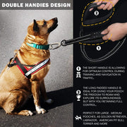reflective bungee dog leash, view 4 - MRSLM