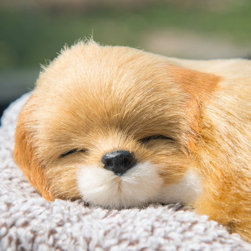 sleeping dog car ornament, view 7 - MRSLM