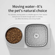 cat water fountain and feeder, view 8 - MRSLM