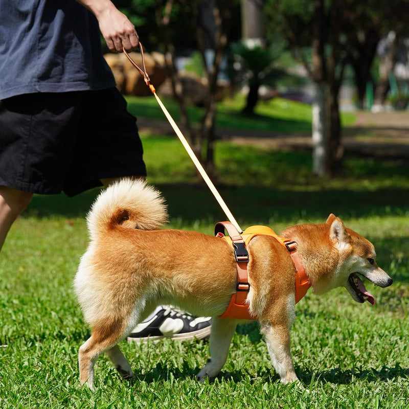 dog harness and retractable leash set, view 4 - MRSLM