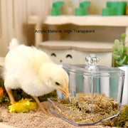 acrylic bird feeder with cuttlebone holder, view 5 - MRSLM