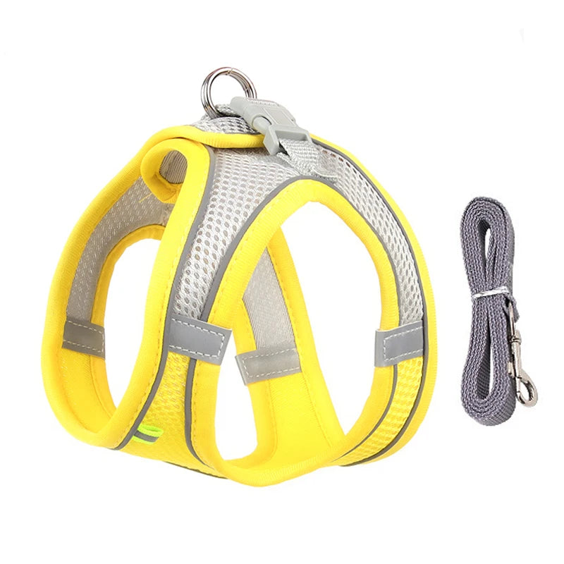mesh harness and leash set, view 13 - MRSLM
