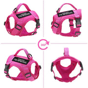 nylon cat harness vest, view 9 - MRSLM