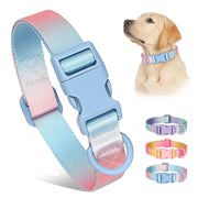 colorful print nylon dog collar, view 7 - MRSLM