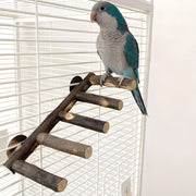 apple wood bird perch and chew toy, view 2 - MRSLM