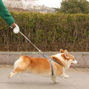 Heavy duty retractable dog leash, view 7 - MRSLM