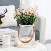self-watering succulent planter, view 2 - MRSLM