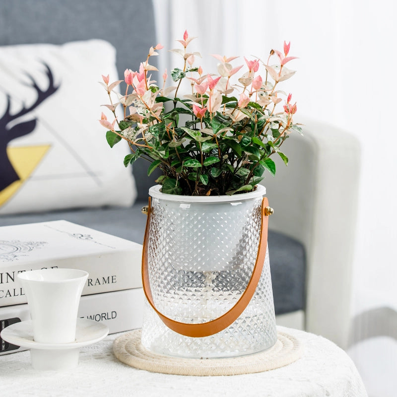 self-watering succulent planter, view 2 - MRSLM