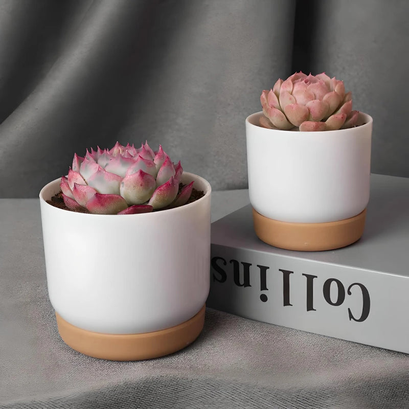 double-layer self-watering succulent plant pot, view 6 - MRSLM