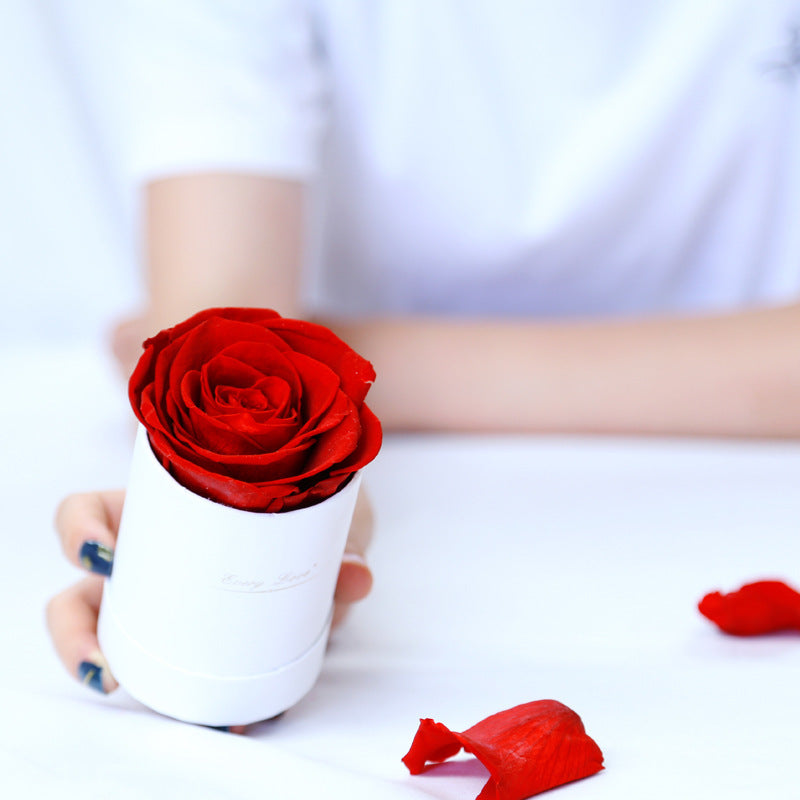 Rose gift with barrel box, view 3 - MRSLM