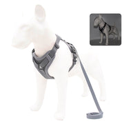 no-pull dog harness and leash set, view 7 - MRSLM