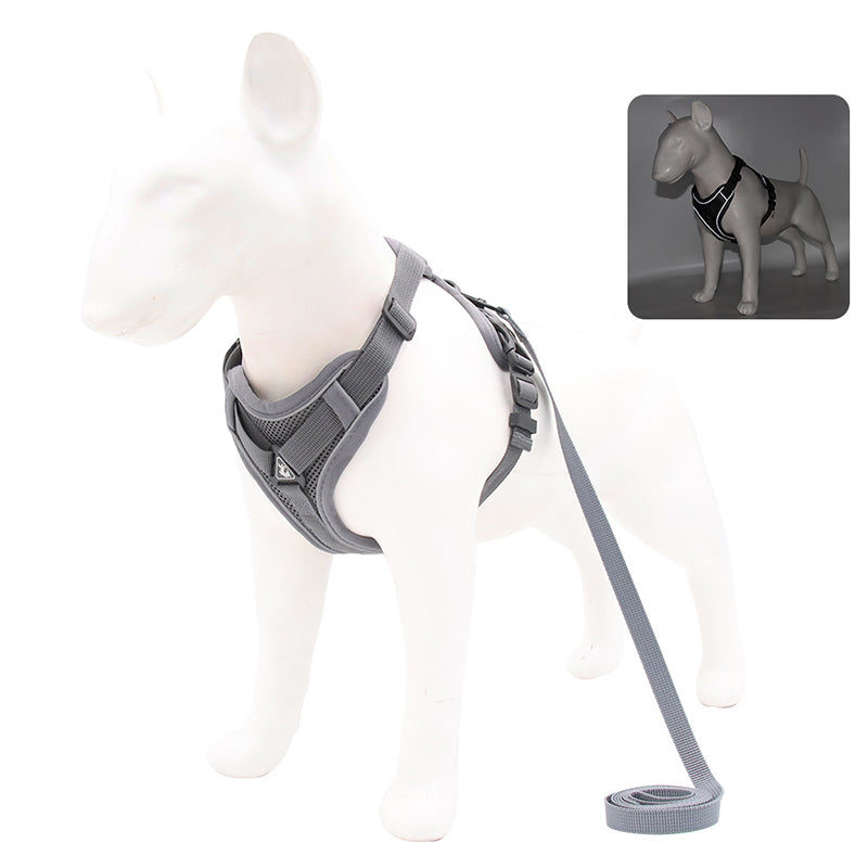 no-pull dog harness and leash set, view 6 - MRSLM