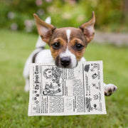 newspaper dog chew toy, view 6 - MRSLM