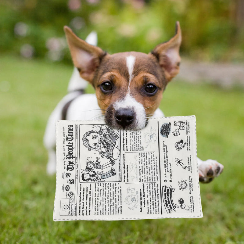 newspaper dog chew toy, view 6 - MRSLM