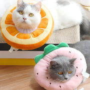 fruit-shaped pet elizabethan collar - MRSLM